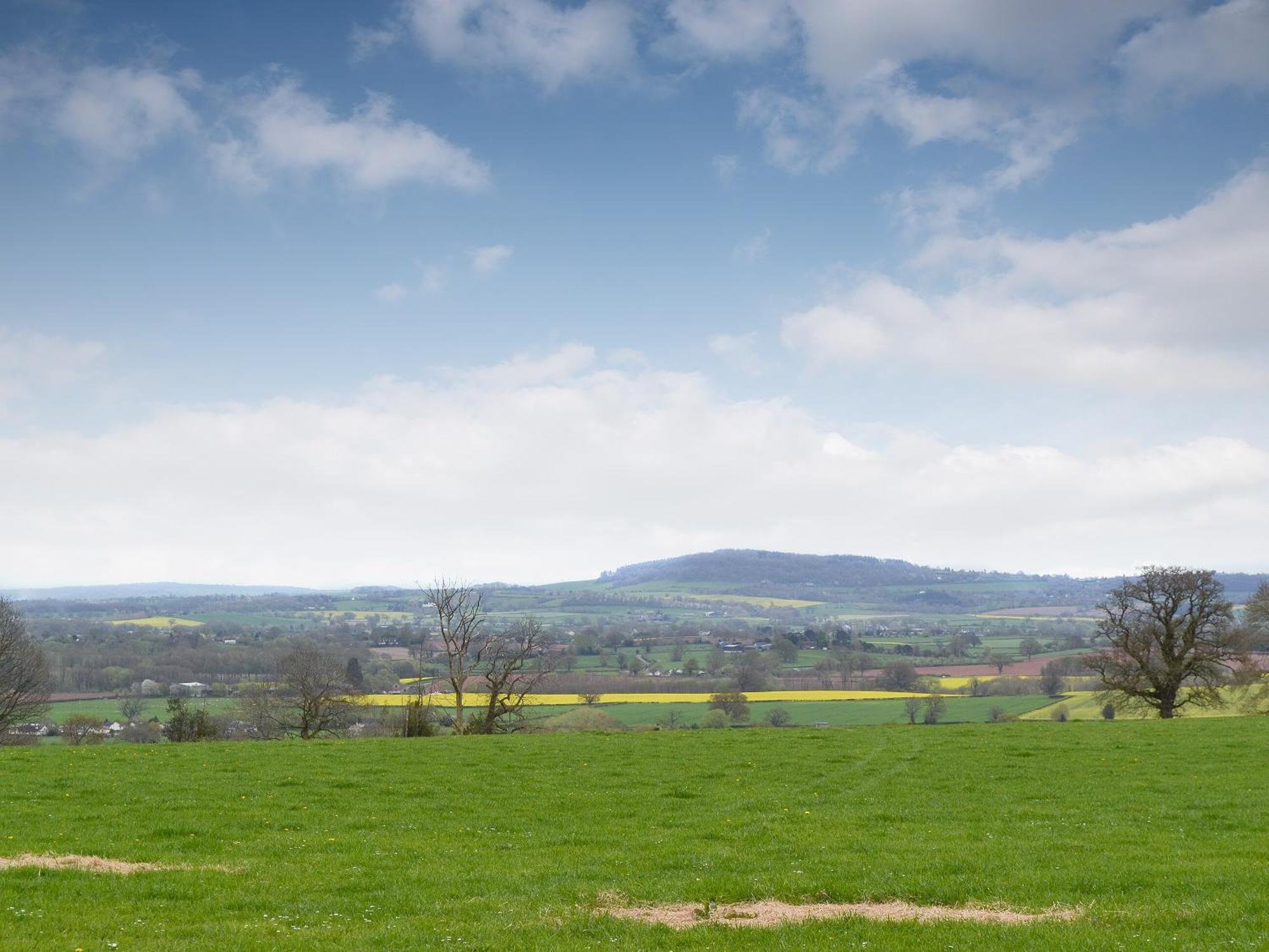 Brampton Hill Farm
